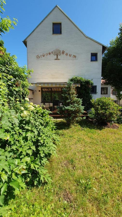Gasthof Gruener Baum Kirchberg am Wechsel Bagian luar foto