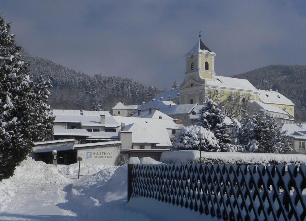 Gasthof Gruener Baum Kirchberg am Wechsel Bagian luar foto