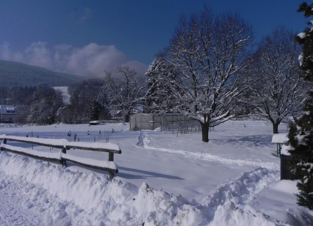 Gasthof Gruener Baum Kirchberg am Wechsel Bagian luar foto