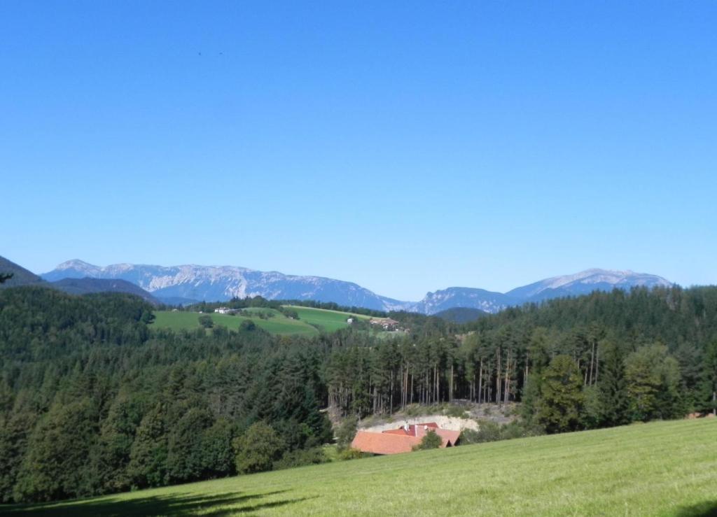 Gasthof Gruener Baum Kirchberg am Wechsel Bagian luar foto