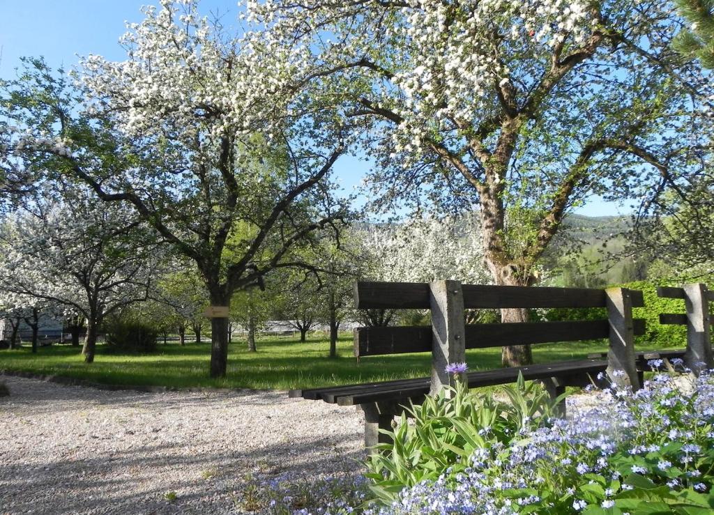 Gasthof Gruener Baum Kirchberg am Wechsel Bagian luar foto